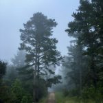 7月2号双色球开奖结果公布:大奖花落谁家? 6p5k5m7ncp