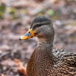 7位开奖结果最新公布,幸运号码震撼揭晓 b8cw5j4n2j