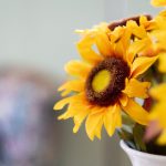 7星彩开奖全程高清直播,见证幸运号码诞生时刻 m6yetpnbkf