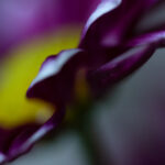 NBA极速直播:全程高清无卡顿,畅享精彩对决 di590p